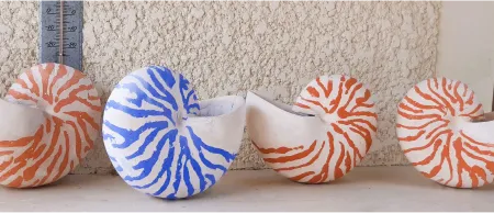 Les nautiles